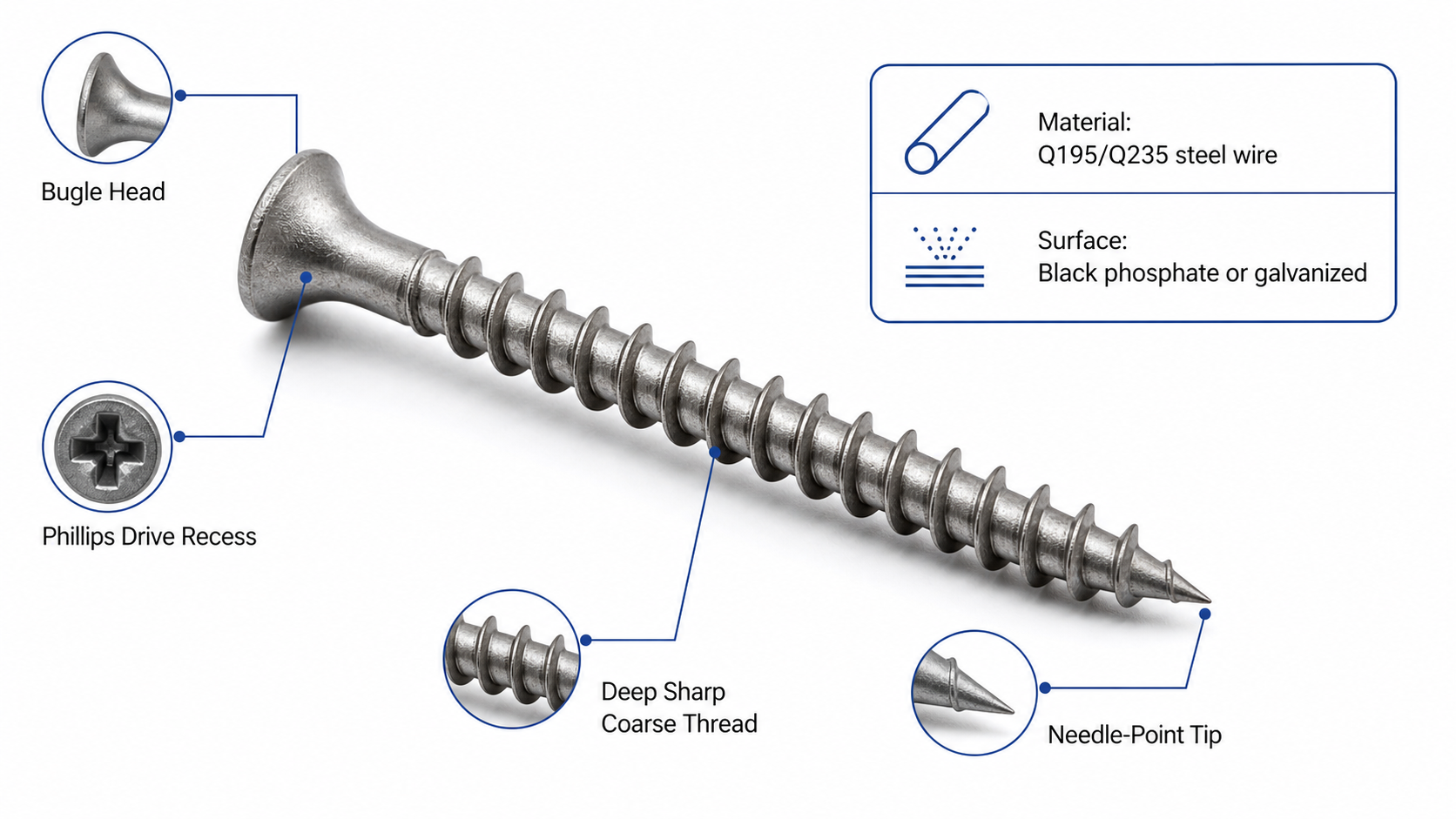 Technical illustration of a drywall screw with labeled features: bugle head, Phillips drive, deep sharp coarse thread, needle